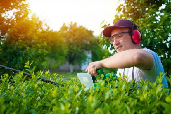 Best Electric Gardening Tools for Efficient Outdoor Maintenance