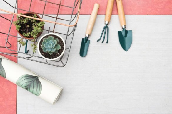 Best Garden Tool Organizers Top Picks