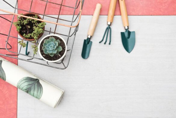 Best Garden Tool Organizers Best Garden Tool Organizers Top Picks