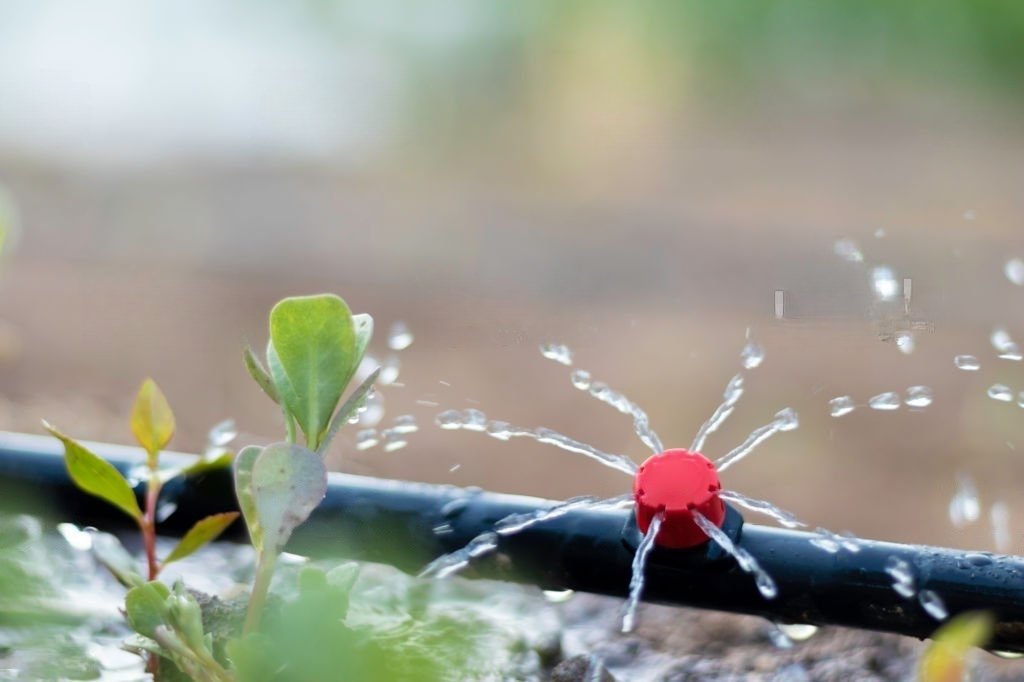 Gardening Tools Names - Drip Irrigation