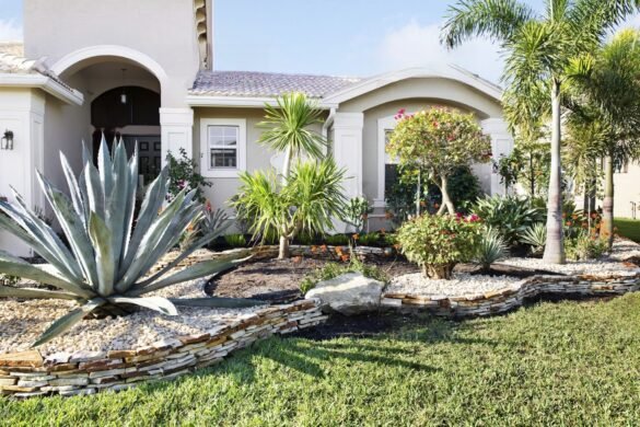 front yard succulent garden ideas