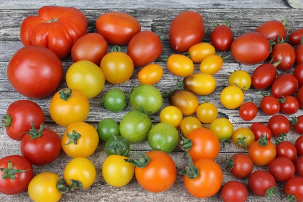 tomatoes-variety