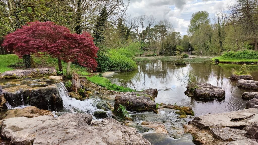 The Irish National Stud’s Japanese Gardens